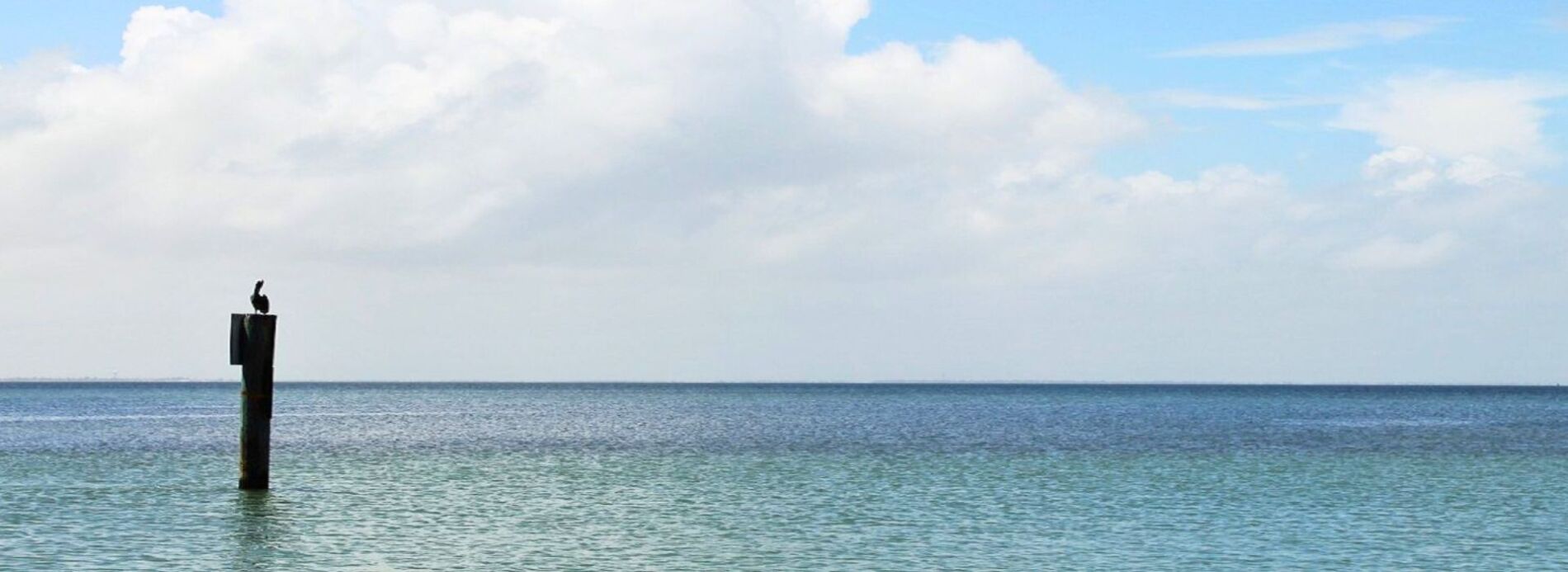 beach in south padre island