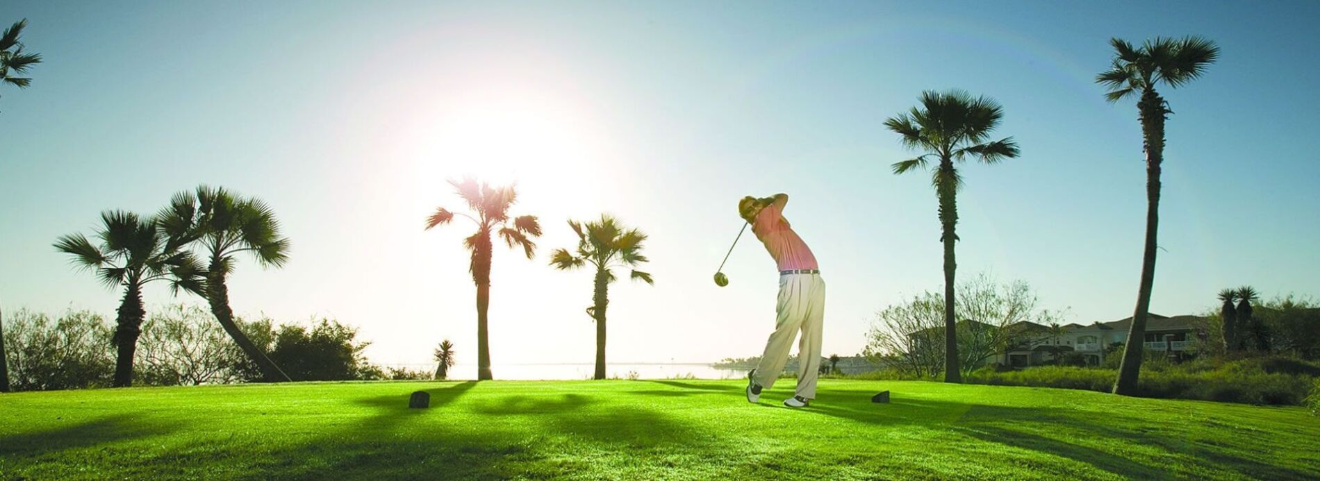 A golfer completing a powerful swing on a lush, sunlit green golf course fairway lined with palm trees.