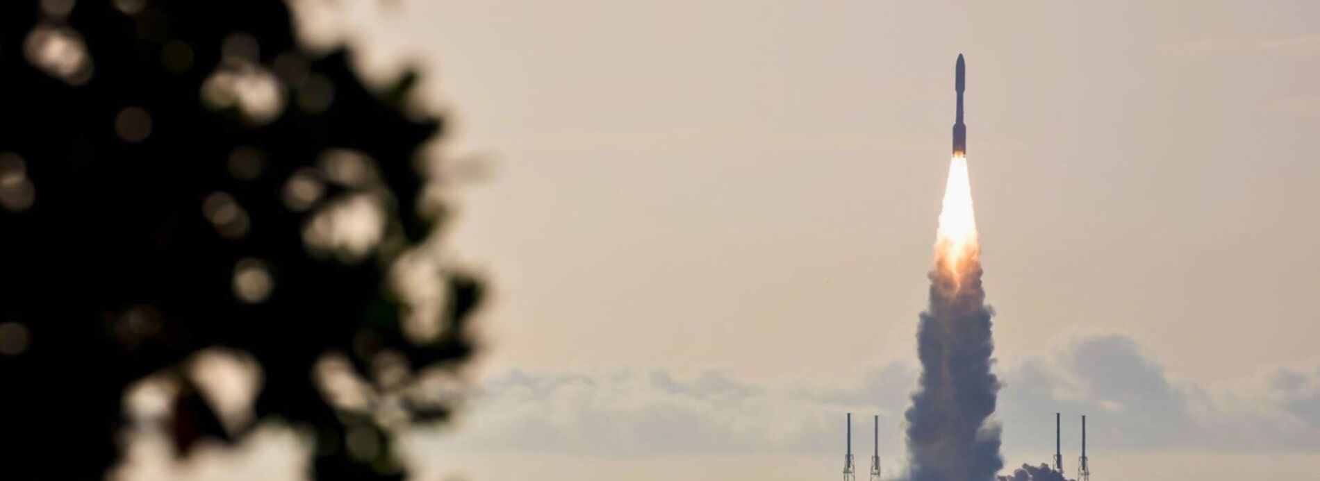 A soft, minimalist view of coastal tree lines subtly disappearing into low-hanging morning fog or ocean mist.