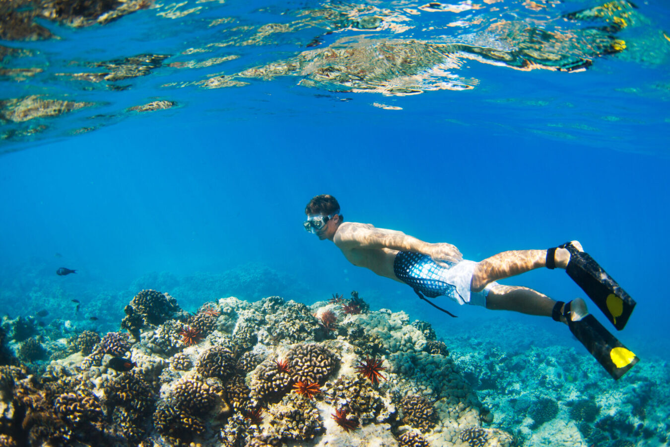 man-snorkeling-reef-shutterstock | South Padre Island Vacation Rentals Man snorkeling at reef
